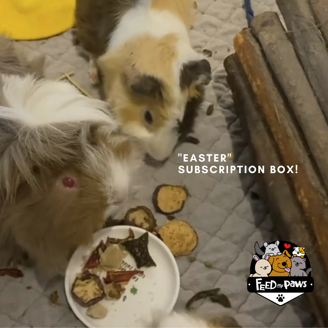 Before 1Oct2022: SB+Del (Bun/Pig)