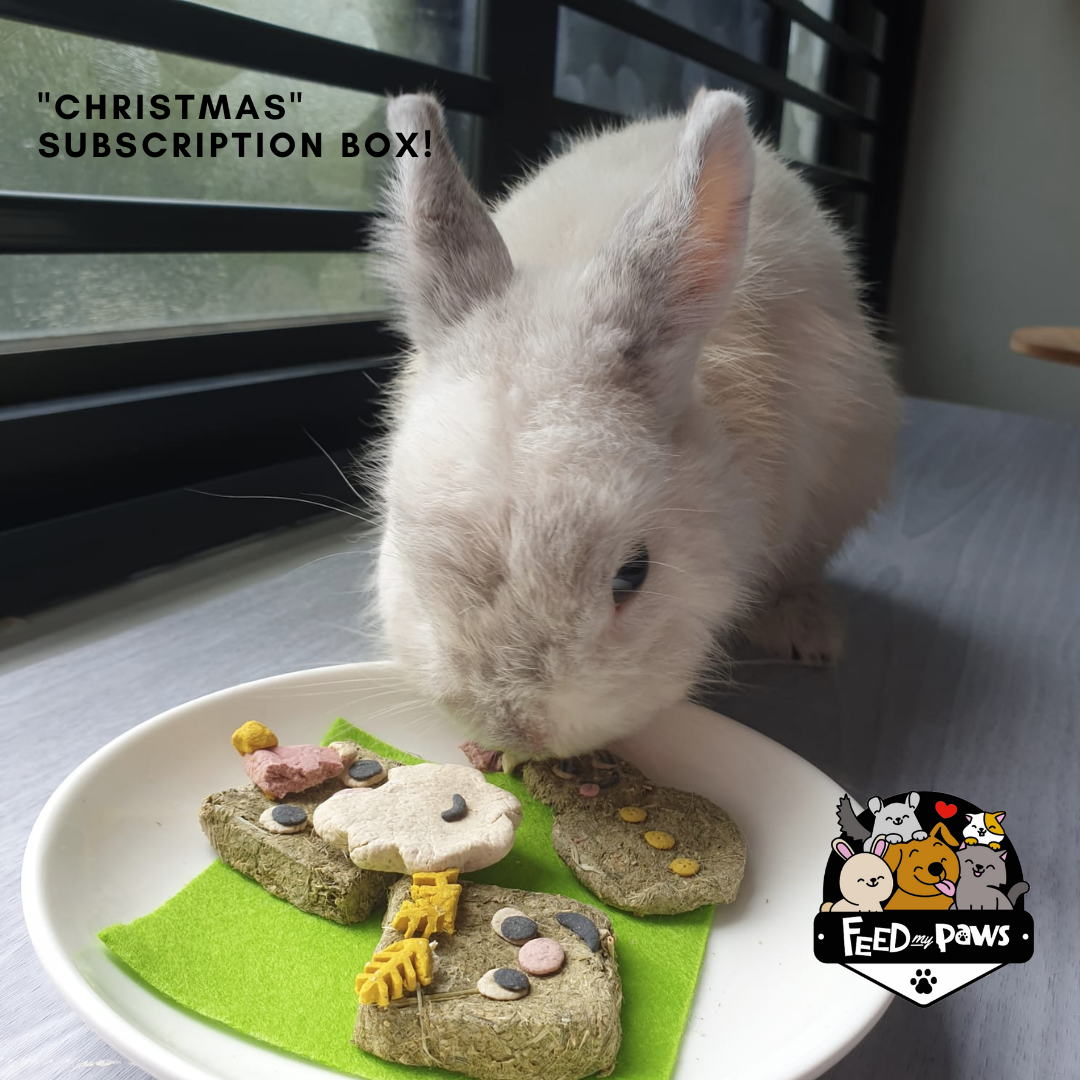 Feed My Paws Subscription Club: Subscription Box for Rabbits & Guinea Pigs! [self pick-up]