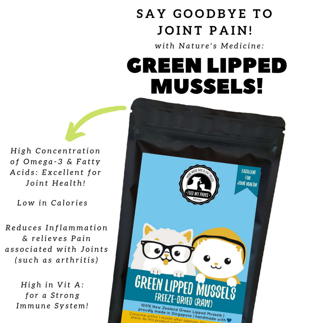 Raw Freeze-dried Green Lipped Mussels
