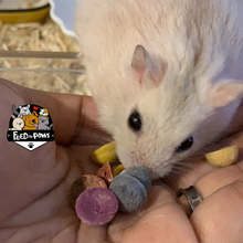 Load image into Gallery viewer, Ham &amp; M&#39;s! (&quot;M&amp;M&#39;s&quot; inspired snack for hamsters)
