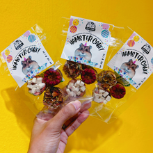 Load image into Gallery viewer, Mini Hamster Birthday Cake
