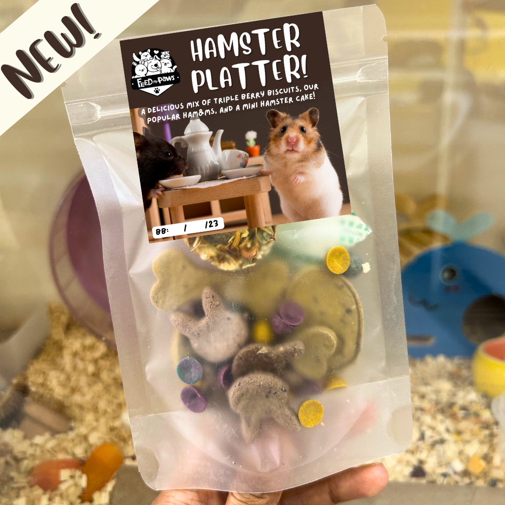 Hamster Platter: Tea Party at Home! (Limited edition special for hamsters that is a mix of treats plus a mini cake!)