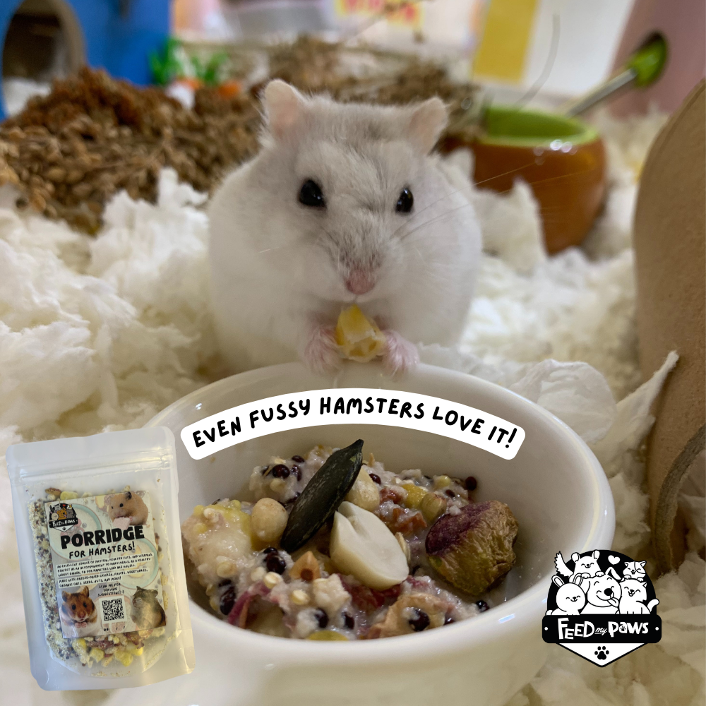 Instant Porridge for Hamsters!