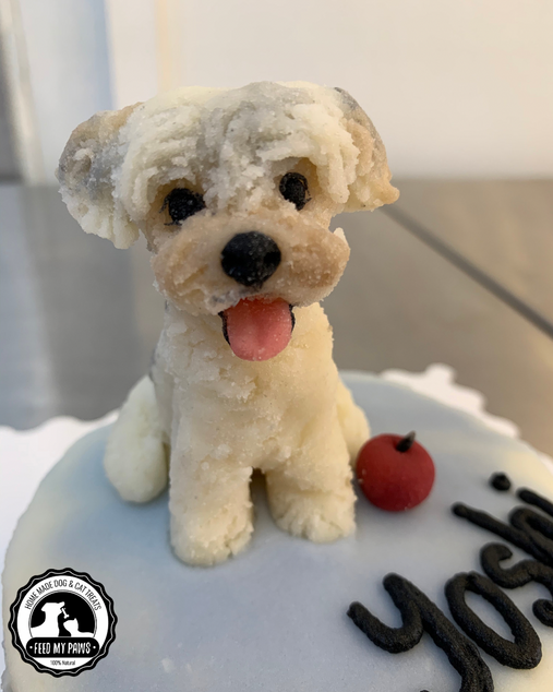 Feed My Paws | Dog Bakery Singapore | Handmade SG Birthday Cake for Dog Puppy | Figurine | Delivery