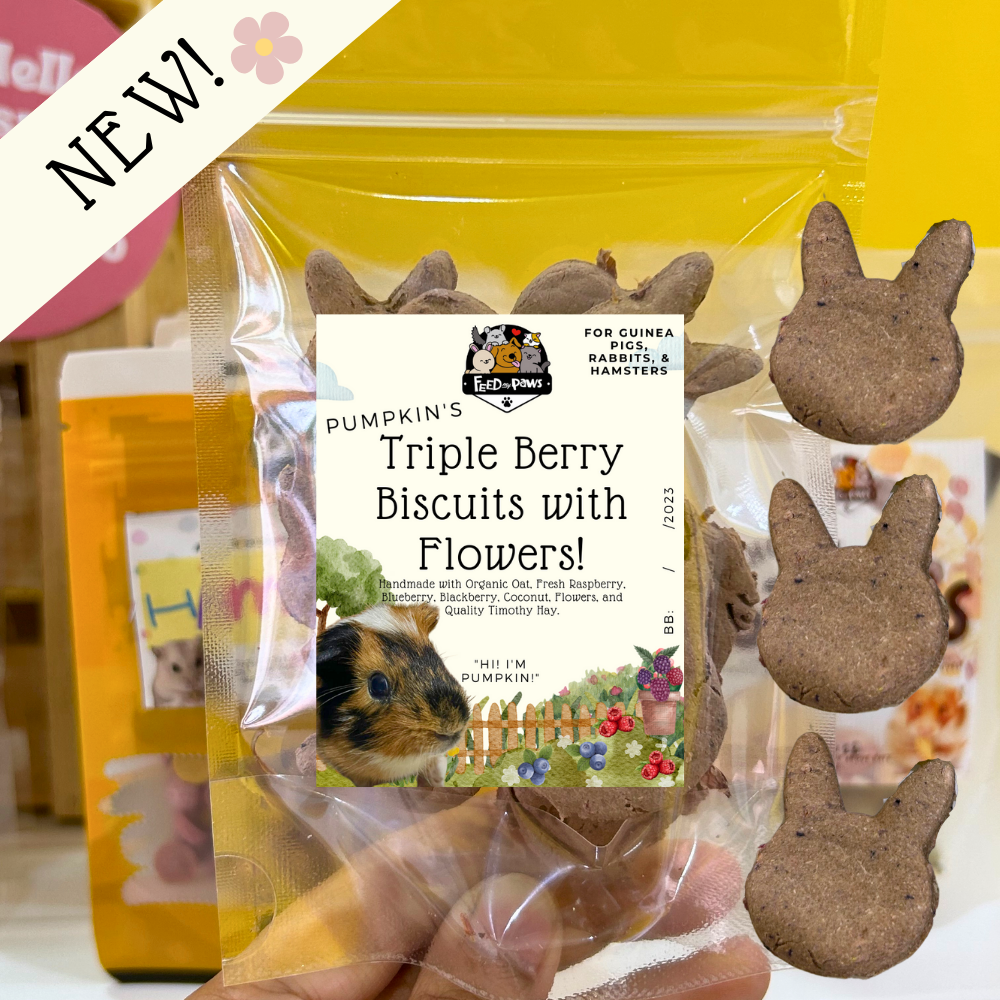 Pumpkin's Fav: Triple Berry Biscuits with Flowers (March Special for Rabbits, Guinea Pigs, and Hamsters!)