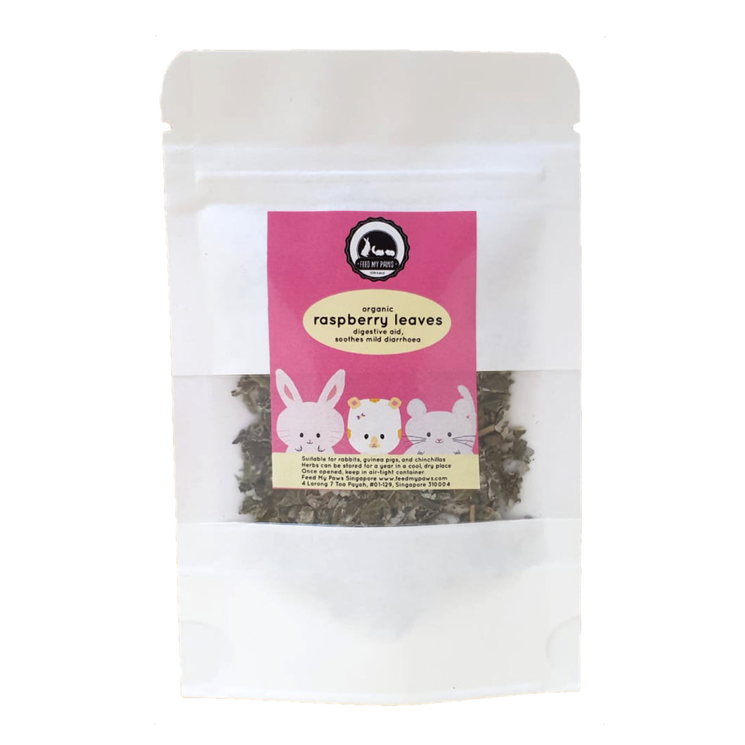 organic raspberry leaves herb supplement for hamsters rabbits guinea pigs and chinchillas in singapore
