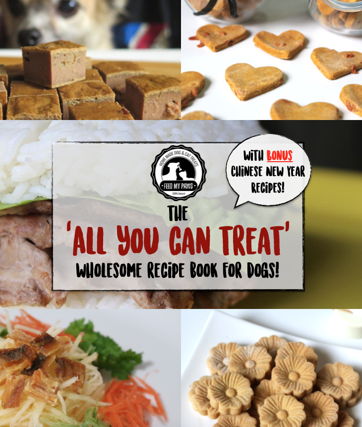 Feed My Paws 'All You Can Treat' E-Book (includes CNY recipes!)