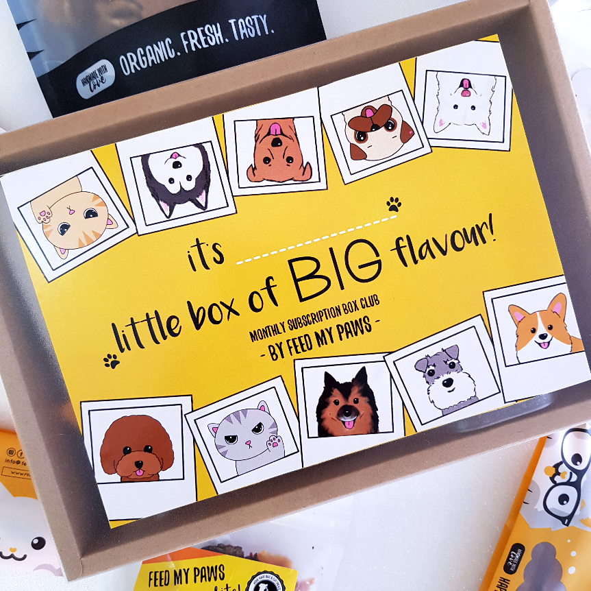 First Movers Box Dog/Cat woot woot [with doorstep delivery]