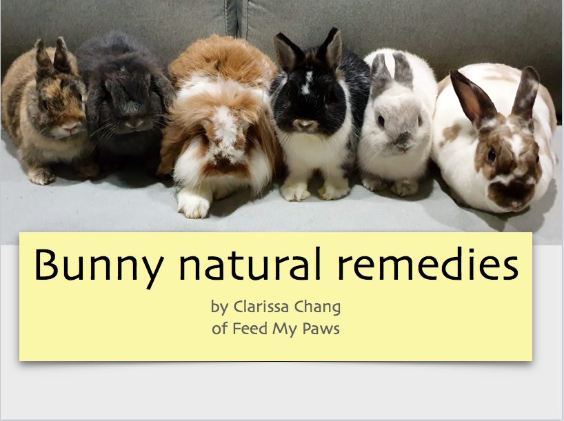 Bunny Natural Remedies