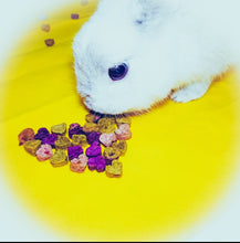 Load image into Gallery viewer, rabbit enjoying our heart to heart handmade treats made in singapore
