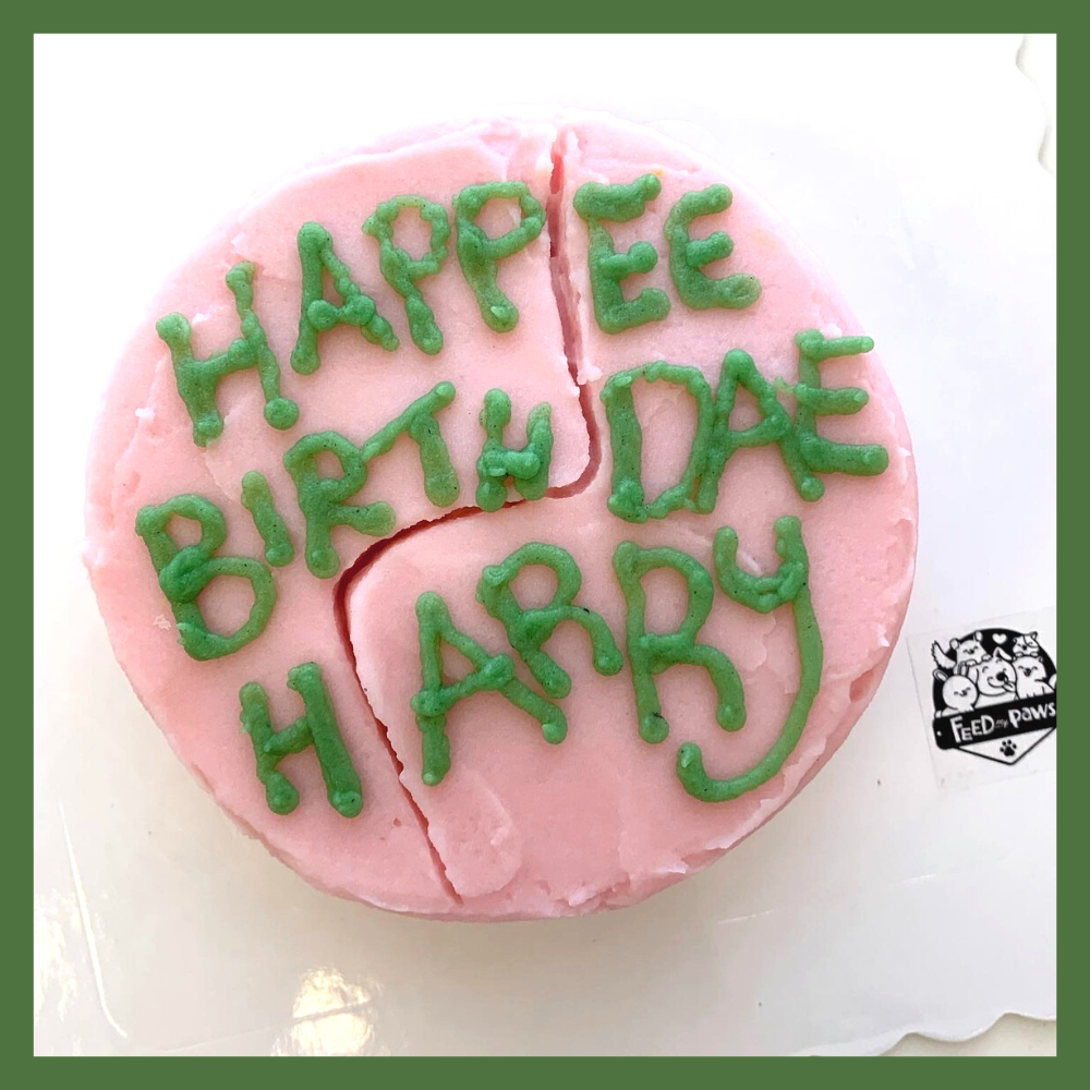 Harry Potter Inspired Cake (Hagrid Design) for Dogs!
