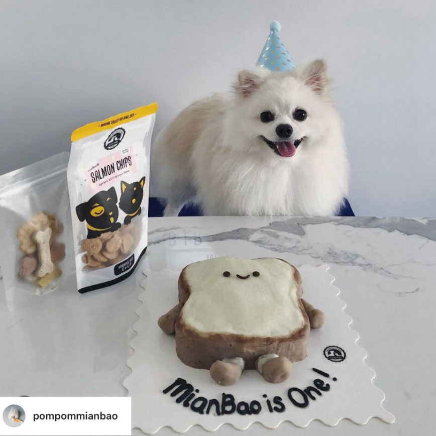 The MianBao Cake for Cats