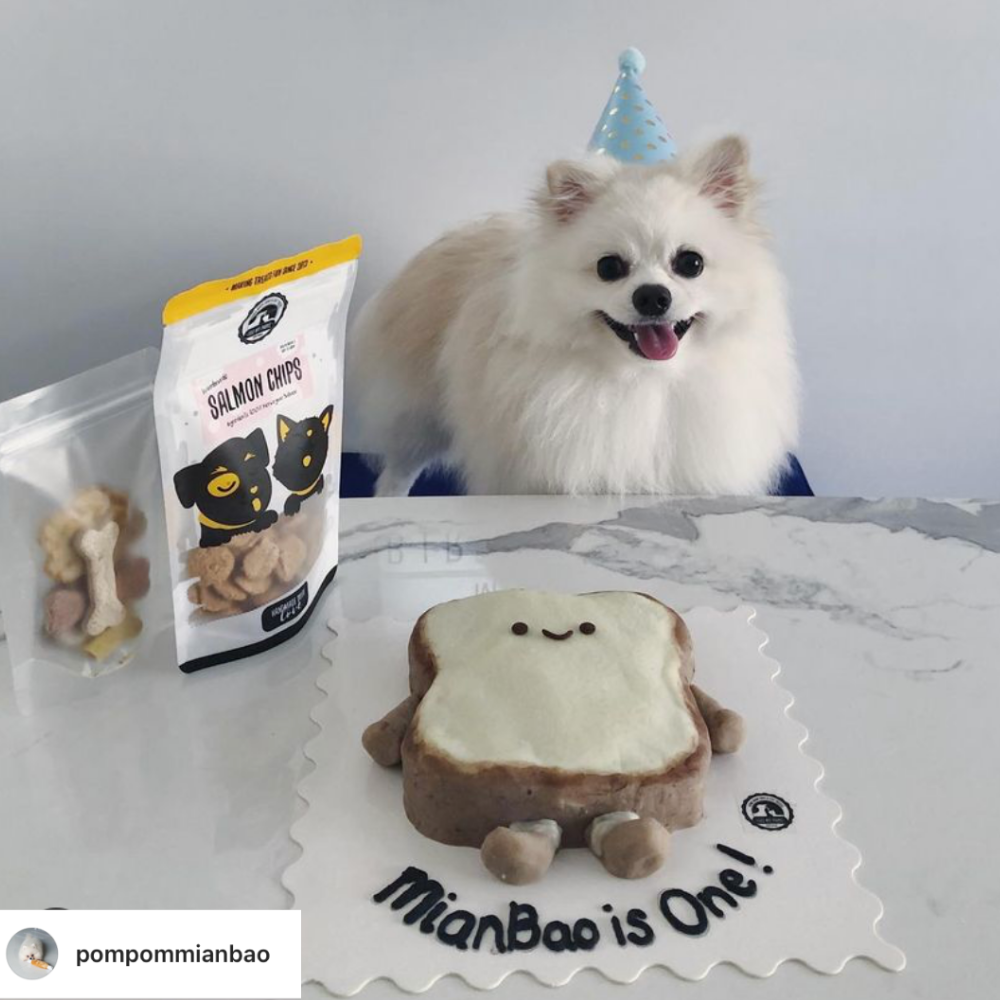 The MianBao Cake for Dogs