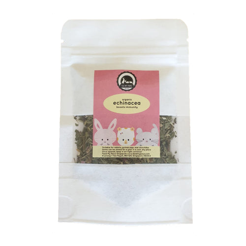 organic echinacea herb supplement for hamsters rabbits guineapigs and chinchillas in singapore