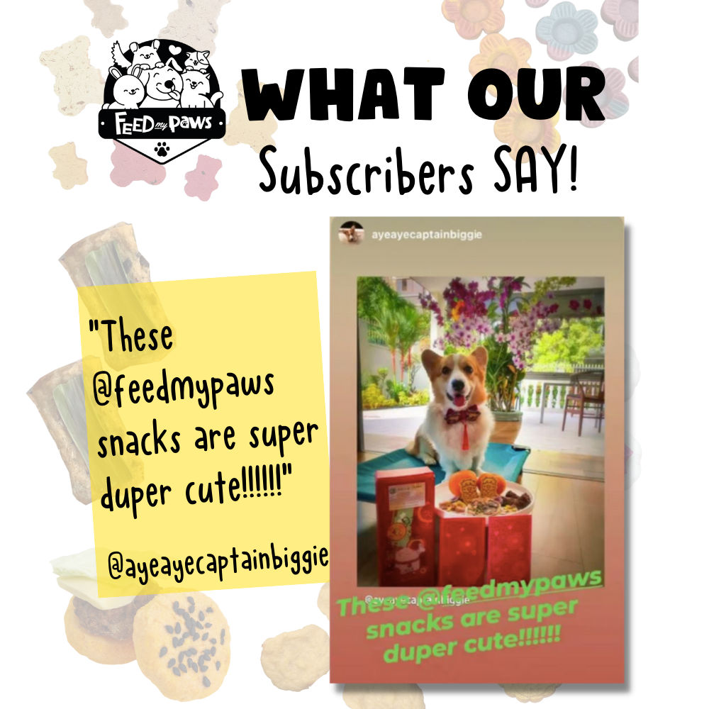 Feed My Paws Subscription Club: Subscription Box for Dogs & Cats! (Monthly)