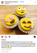 Load image into Gallery viewer, Basic Pupcake Workshop (Baking &amp; Decorating)
