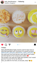 Load image into Gallery viewer, Basic Pupcake Workshop (Baking &amp; Decorating)
