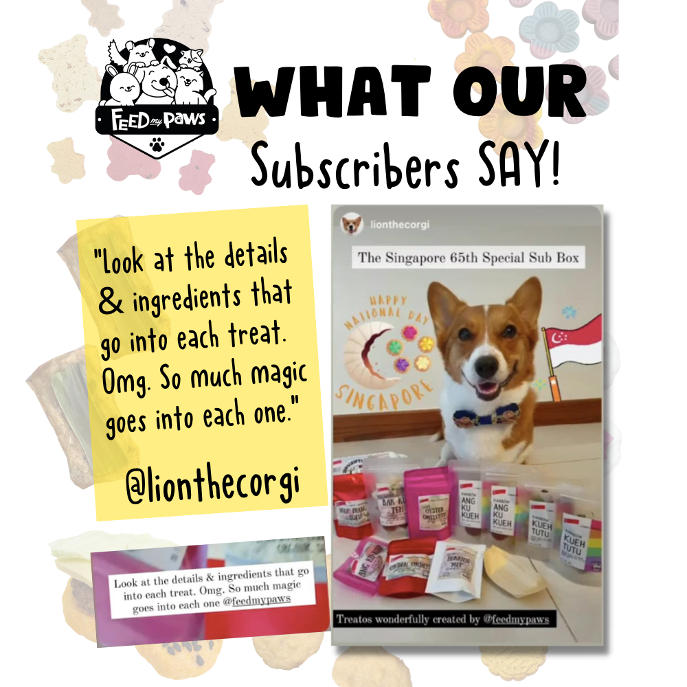 Feed My Paws Subscription Club: Subscription Box for Dogs & Cats! (Monthly)